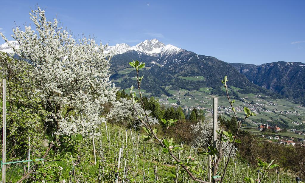 Residence Innerfarmerhof Tirolo Exterior foto